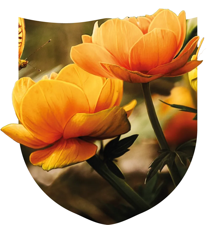 A butterfly on flowers coming out of a shield